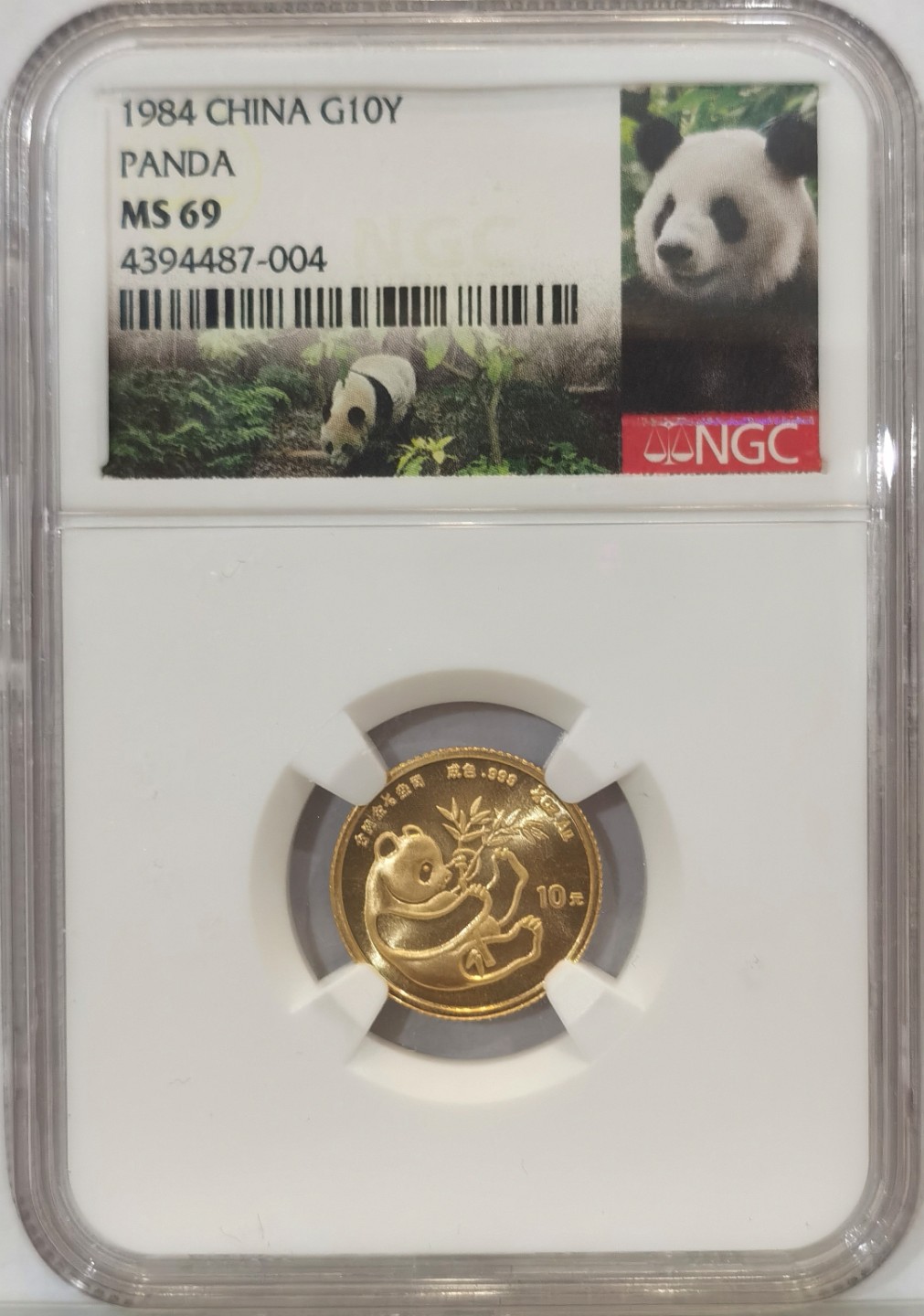 博洋堂世界钱币拍卖第016期（全场包邮） NGC MS69 1984年中国熊猫1/10盎司金币