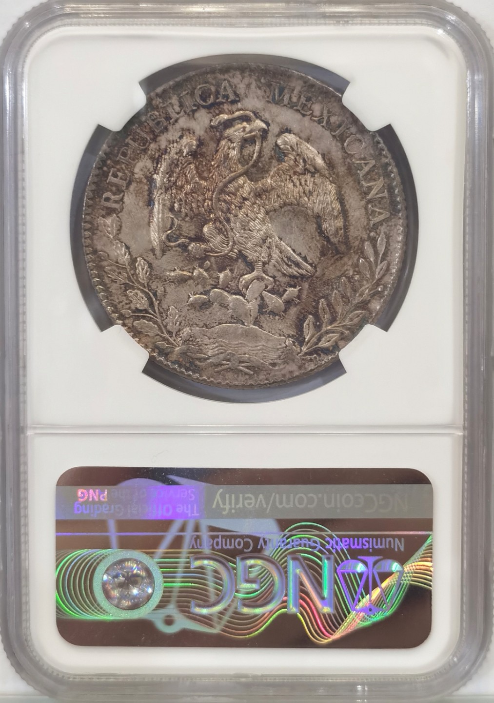 博洋堂世界钱币拍卖第016期（全场包邮） NGC MS61  墨西哥 花边鹰洋  萨斯特卡斯 Zs 1897 8里亚尔 炫五彩包浆 大热门包浆  藏家必选
