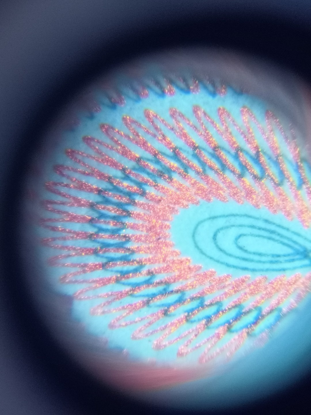 8005荧光币专场无托拍 8005WD紫幽双蝶乾成评级币