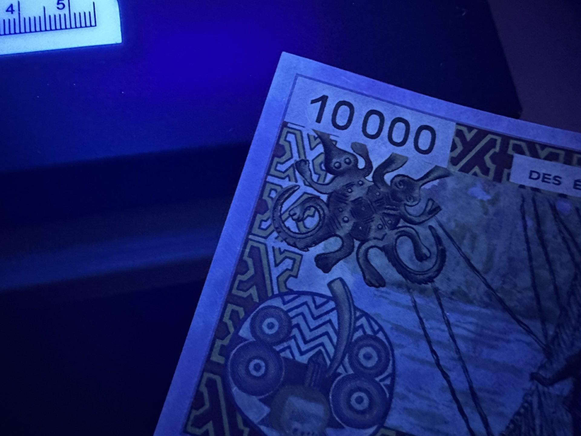 《外钞收藏家》第二百四十二期（连拍场） 西非1万法郎 全新 轻微潮