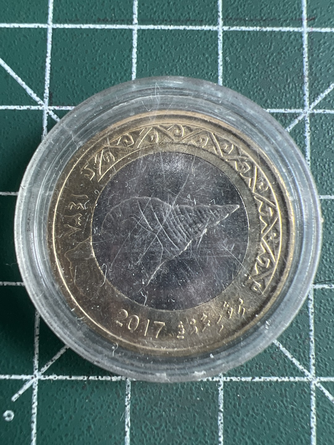 泡泡堂微拍第六十六幕硬币捡漏可累计专场👿👿，零佣金，零押金，累计满二十元包邮，接受代拍业务 马尔代夫2017年大法螺2拉菲亚双色币