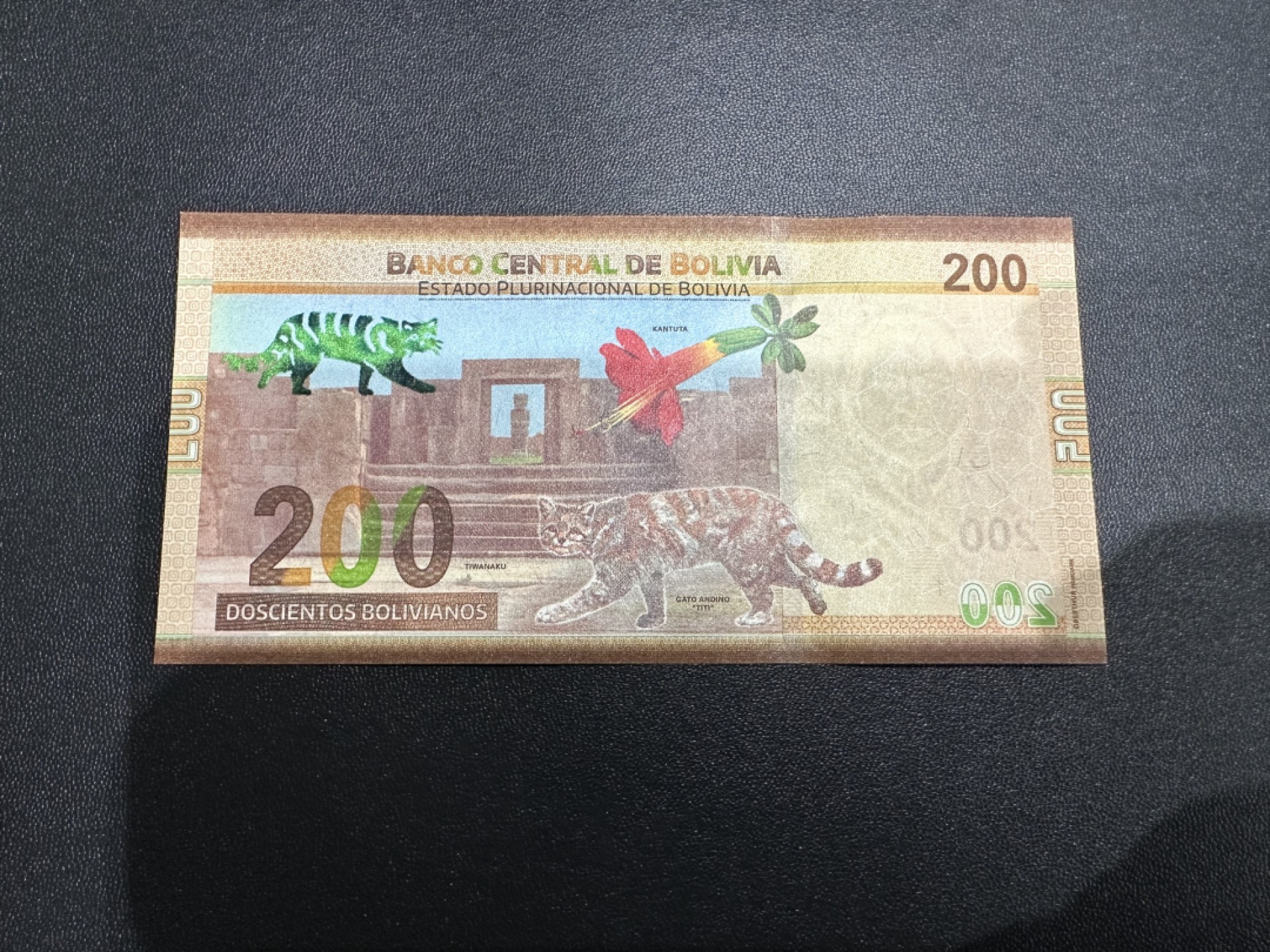 《外钞收藏家》第二百四十二期（连拍场） 玻利维亚200 全新UNC 无47