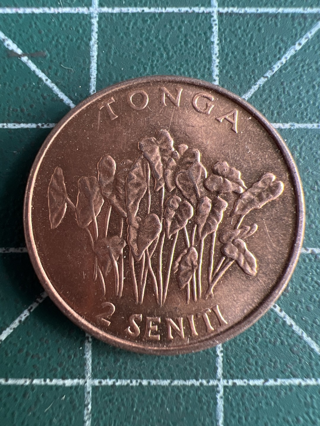 泡泡堂微拍第六十四幕硬币捡漏可累计专场👿👿，零佣金，零押金，累计满二十元包邮，接受代拍业务 汤加2分