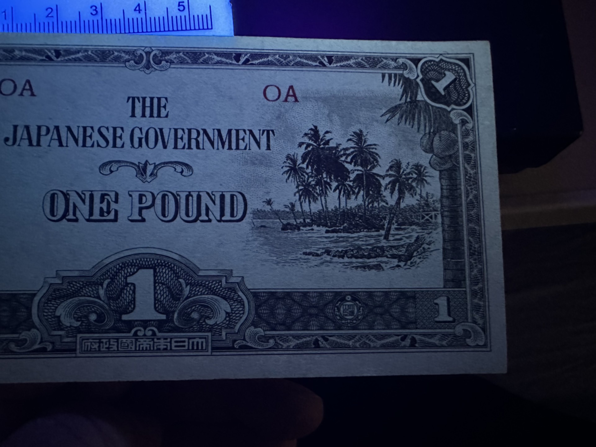 《外钞收藏家》第二百四十二期（连拍场） 日本大洋洲军票1镑 近全新