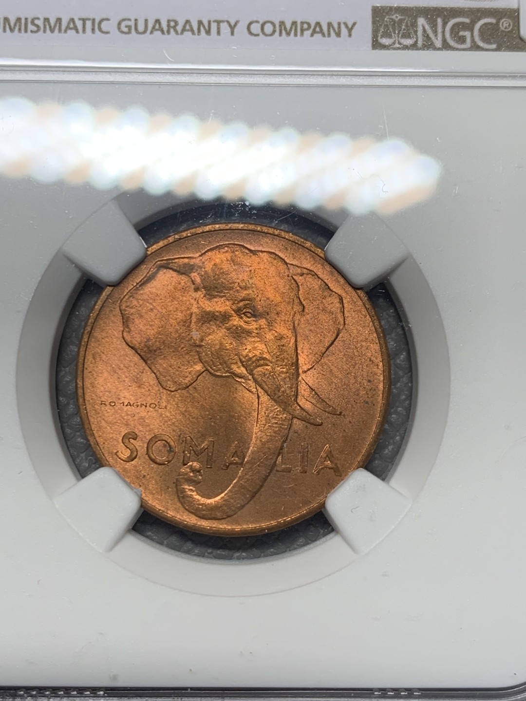 《竞宝斋》第136场-周日，周一连拍 (全场包邮) NGC NS65RB 意属索马里 1950年 5分铜币 大象图案 5分较少 铜光不错