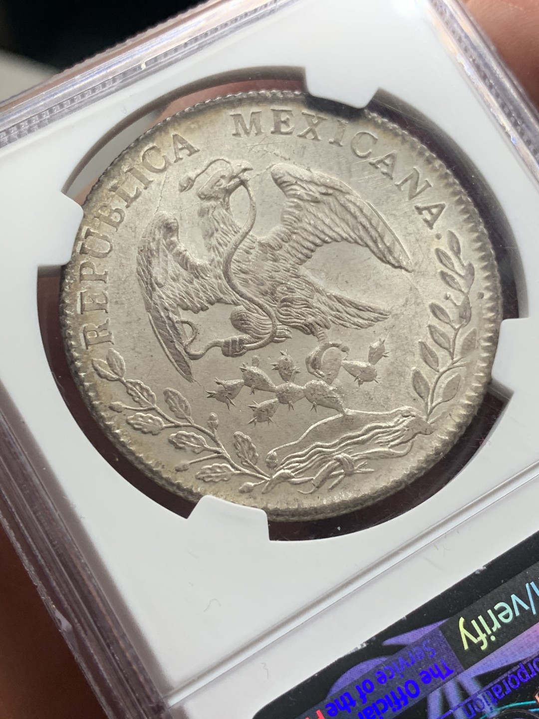 《竞宝斋》第136场-周日，周一连拍 (全场包邮) 冠军分 NGC MS66 墨西哥 1886年ZS JS 8R 鹰洋 整体粉光 打制清晰 帽中褶皱都非常的清晰 难得佳品