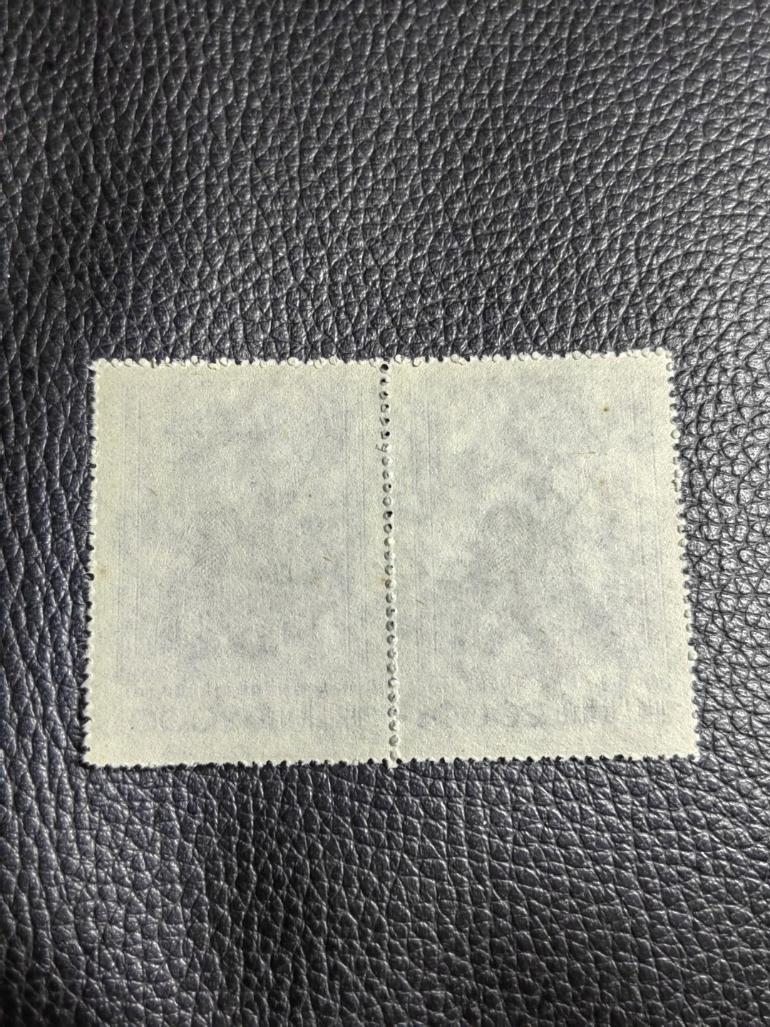 洪涛臻品批发群  精选邮票限时拍卖第一百八十二期 纪26列宁 新  3-2总筋  2连，版撕几乎全品，背面极其轻微小黄点如图，别无瑕疵，总筋一枚几乎价值等于一套，其他两枚加起来才15元，绝对的总筋，喜欢不要错过
