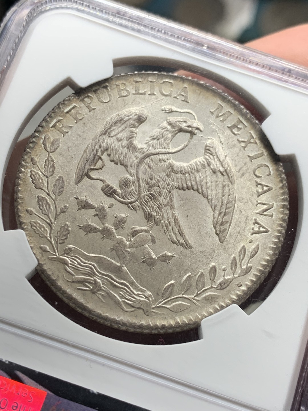 《竞宝斋》第136场-周日，周一连拍 (全场包邮) 冠军分 NGC MS66 墨西哥 1886年ZS JS 8R 鹰洋 整体粉光 打制清晰 帽中褶皱都非常的清晰 难得佳品