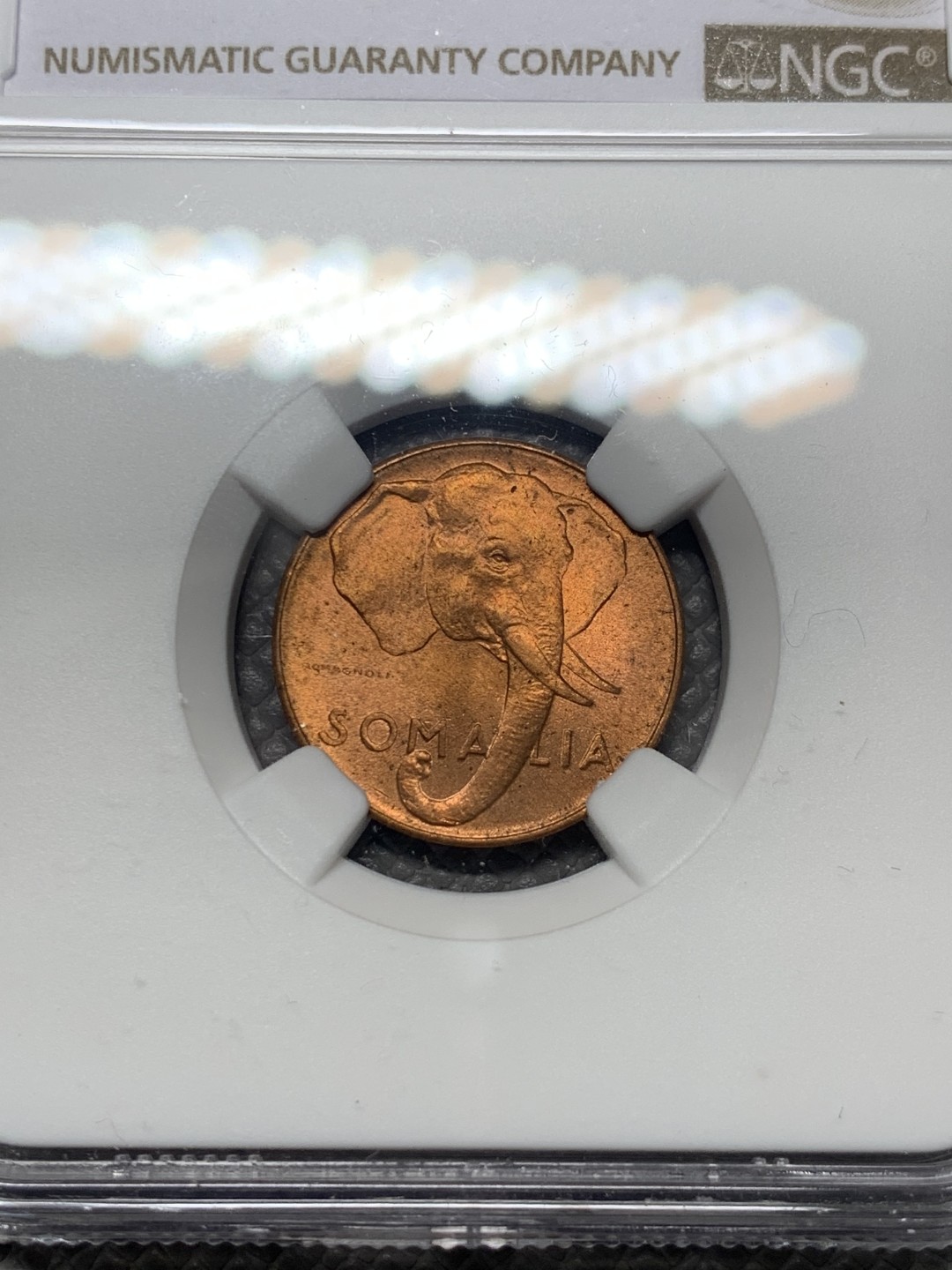 《竞宝斋》第136场-周日，周一连拍 (全场包邮) NGC MS64RB 意属索马里 1950年 1分铜币 大象图案 原光好品