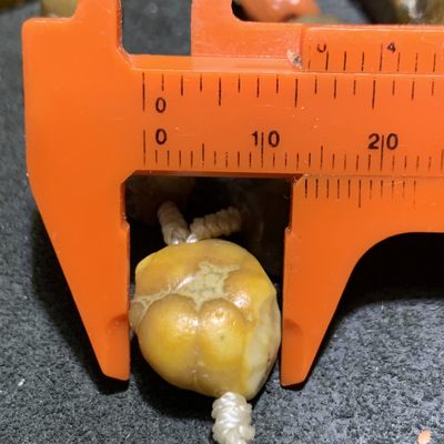 精美阿拉善筋脉玛瑙大颗粒原石108项链一条， 精美阿拉善筋脉玛瑙大颗粒原石108项链一条，