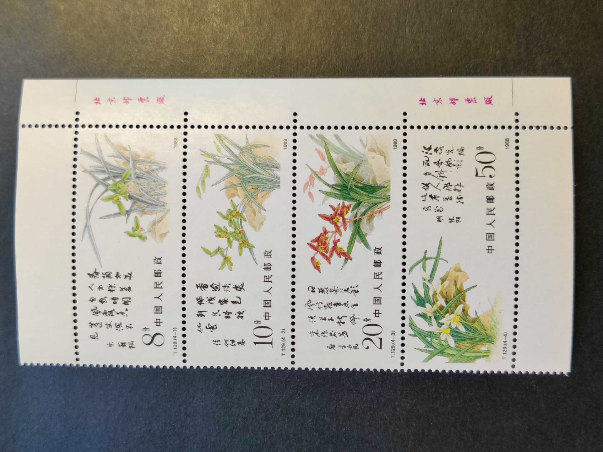 洪涛臻品批发群  精选邮票限时拍卖第一百八十一期 T129兰花 新全套 以前初中英语课本中介绍的中国邮票 原胶润亮！联票间齿孔无折！ 完美过灯！OG全品！