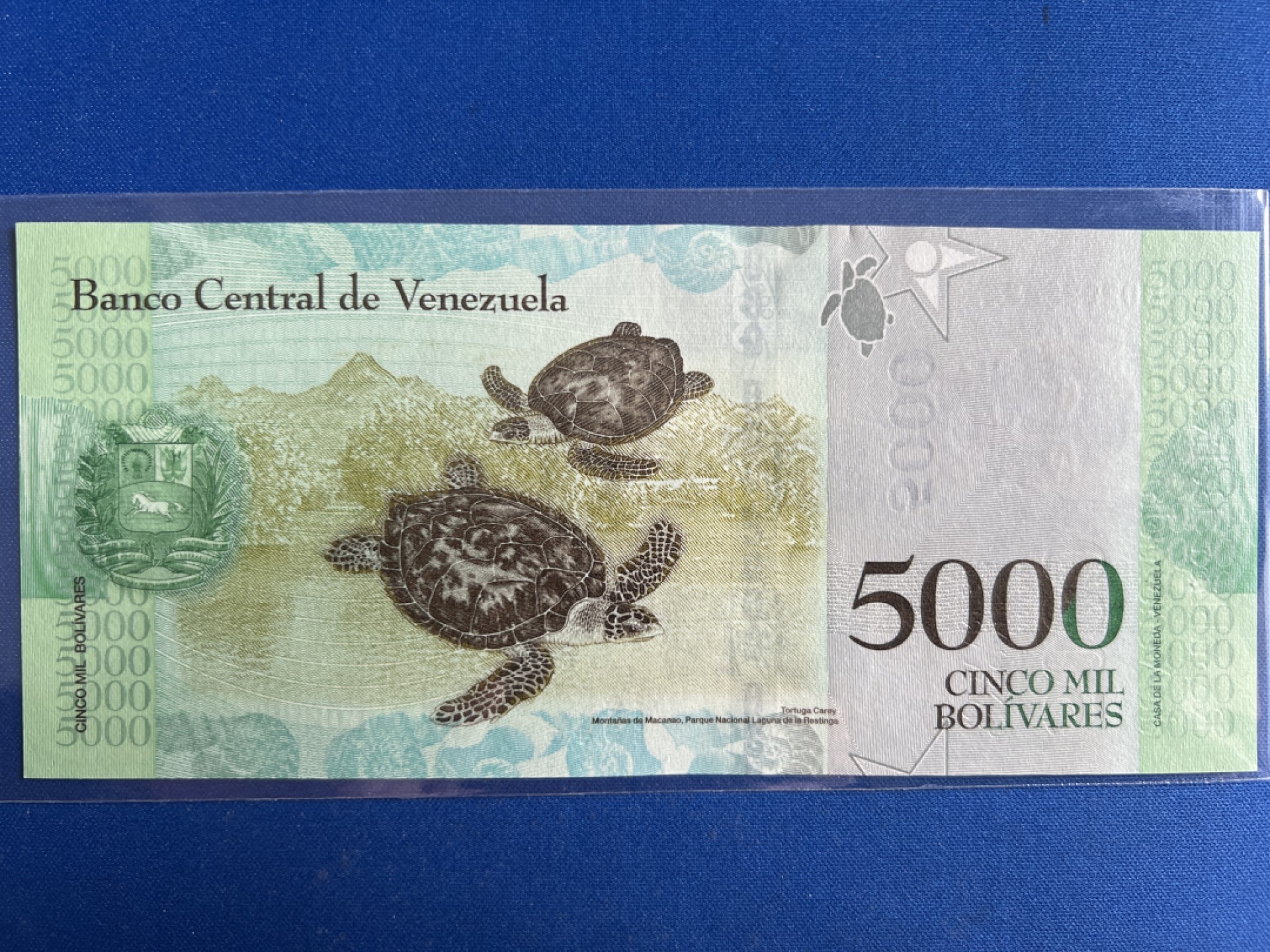 泡泡堂微拍第六十八幕纸币捡漏可累计专场👿👿，零佣金，零押金，累计满二十元包邮，接受代拍业务 海龟委内瑞拉5000玻利瓦尔纸币