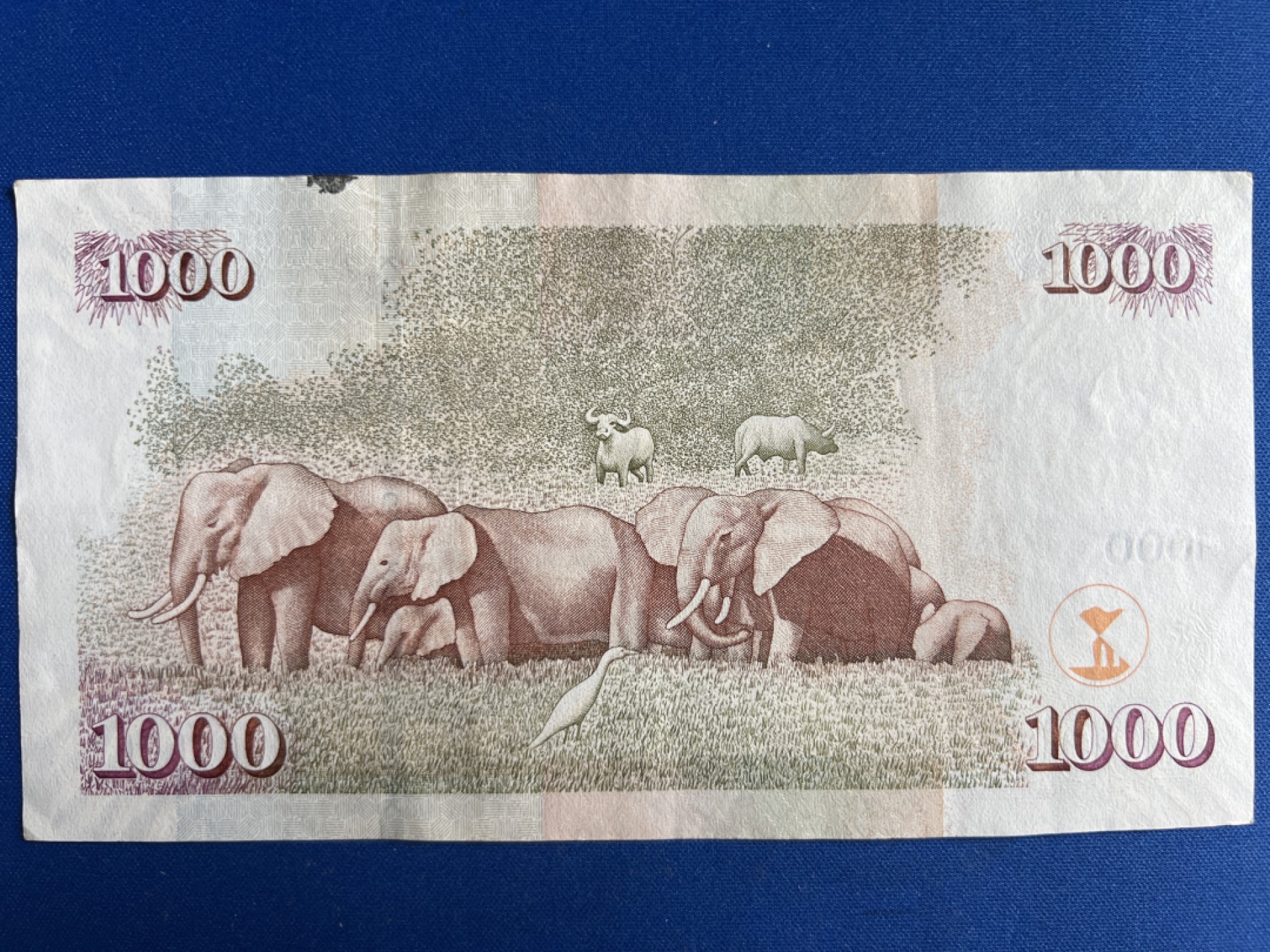 泡泡堂微拍第150幕纸币捡漏可累计专场👿👿，累计满二十元包邮，接受代拍业务 肯尼亚1000先令