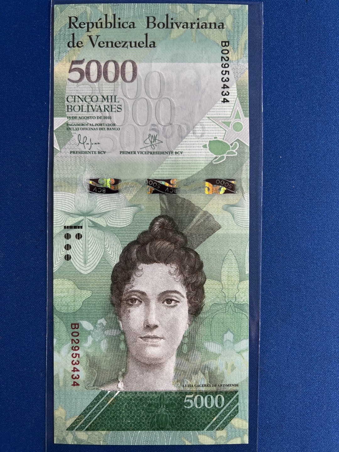 泡泡堂微拍第六十八幕纸币捡漏可累计专场👿👿，零佣金，零押金，累计满二十元包邮，接受代拍业务 海龟委内瑞拉5000玻利瓦尔纸币