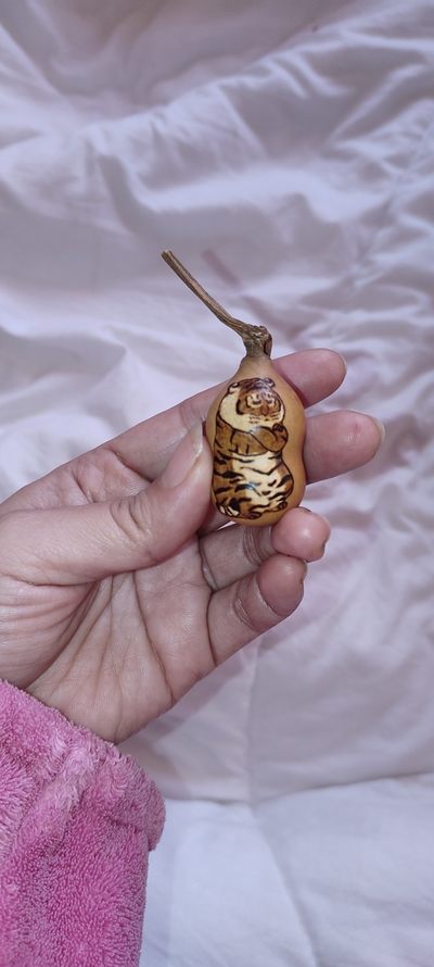 精品葫芦，烙画挂件，手把件。藏品非物质文化遗产 - 精品葫芦，烙画挂件，手把件。藏品非物质文化遗产