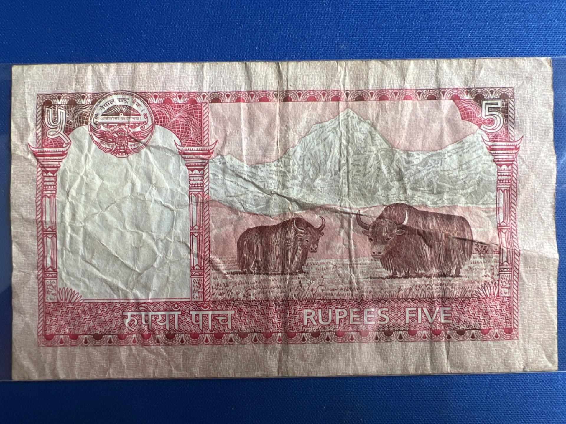 泡泡堂微拍第六十七幕纸币捡漏可累计专场👿👿，零佣金，零押金，累计满二十元包邮，接受代拍业务 尼泊尔5卢比