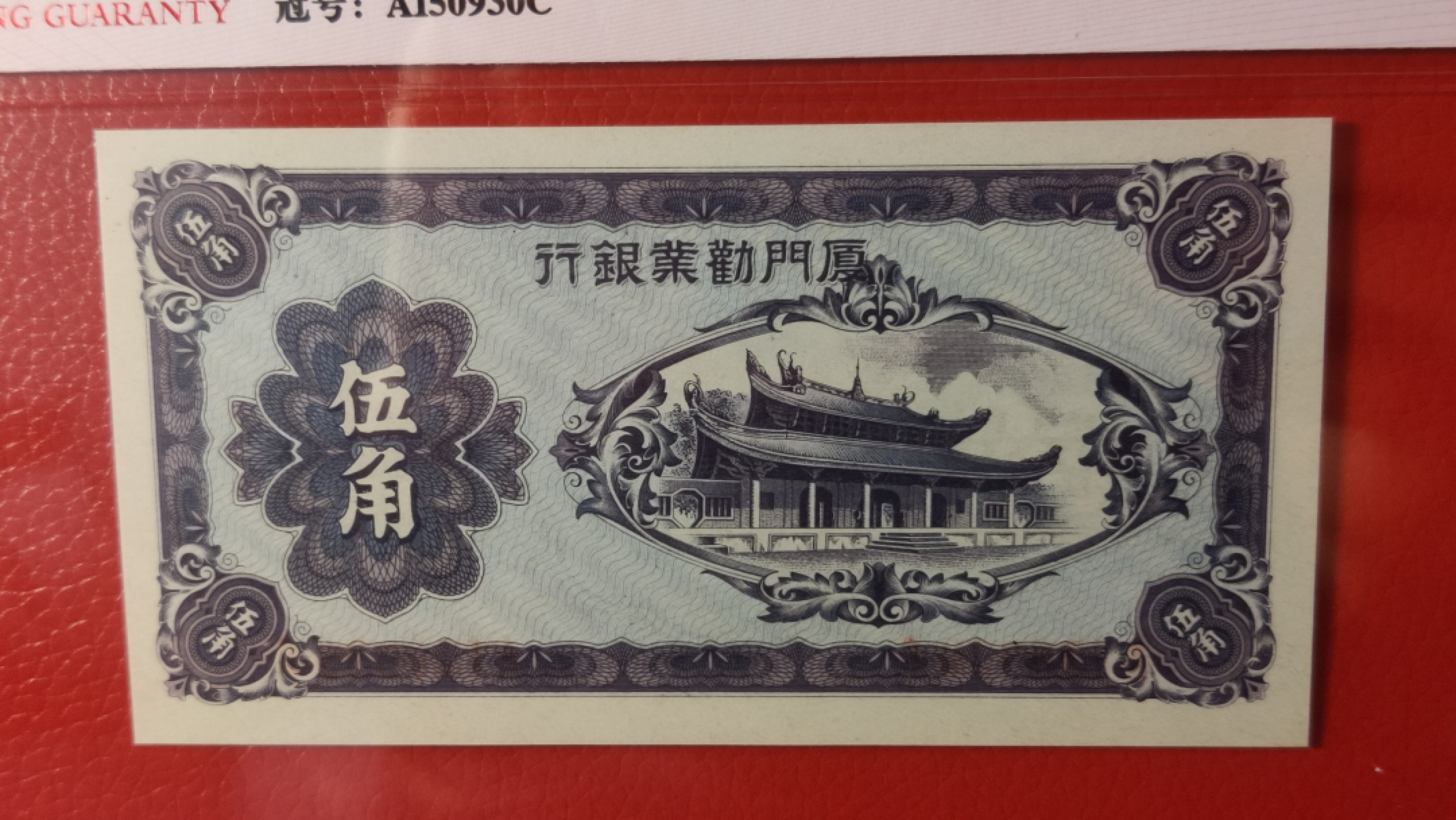每日随心十拍030 <混拍>