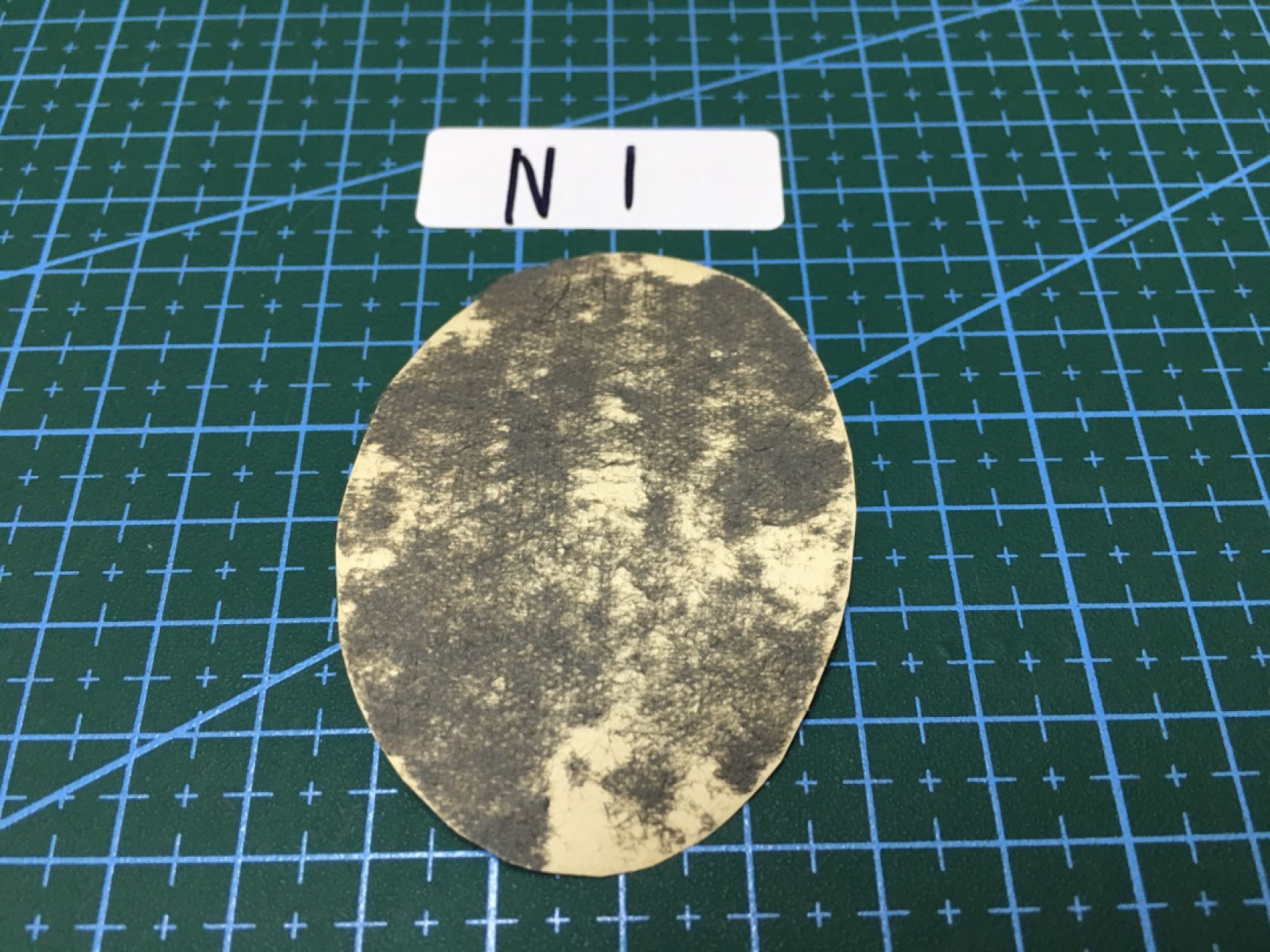 N1 日本老照片 日本老照片一枚 R138