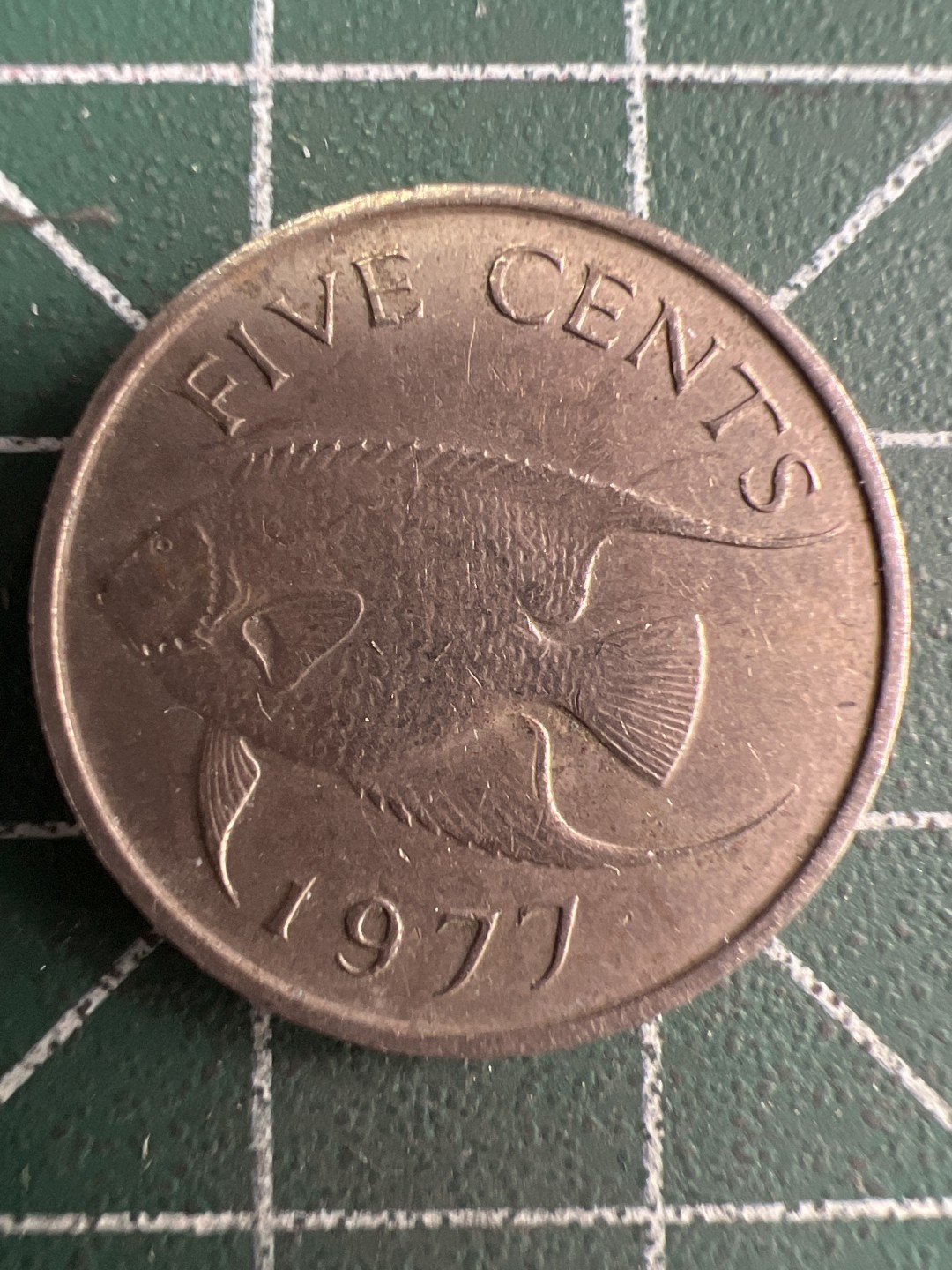 泡泡堂微拍第192幕硬币捡漏可累计专场👿👿，累计满二十元包邮，接受代拍业务 百慕大五分