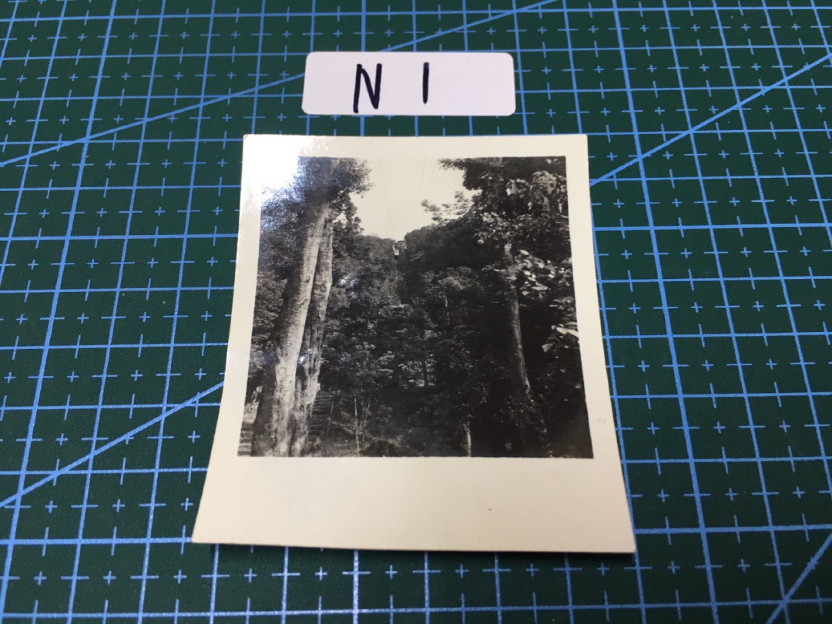 N1 日本老照片 日本老照片一枚 R126