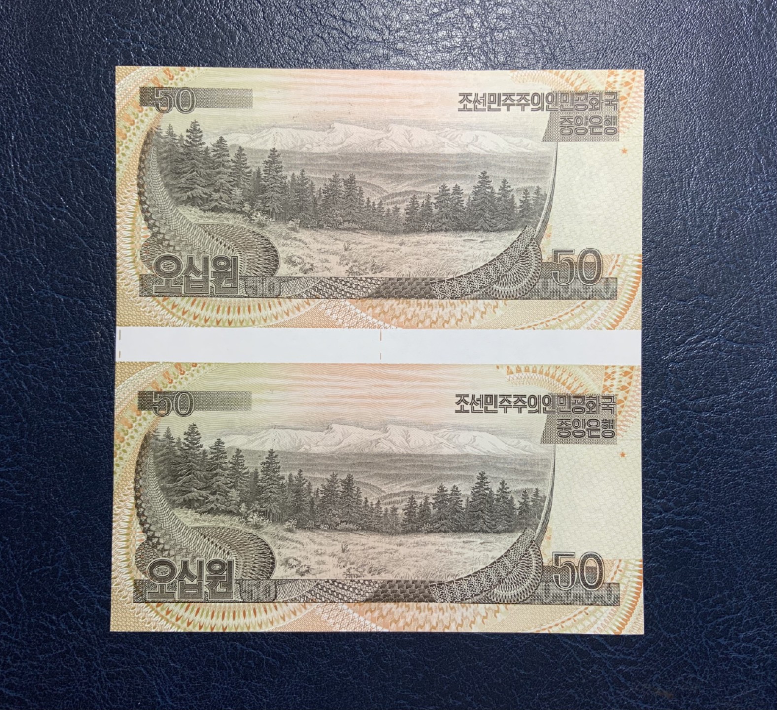 收藏联盟Quantum Auction 第235期拍卖 朝鲜1992年1-100元两连体 品相全新UNC 加盖金日成诞辰95周年纪念