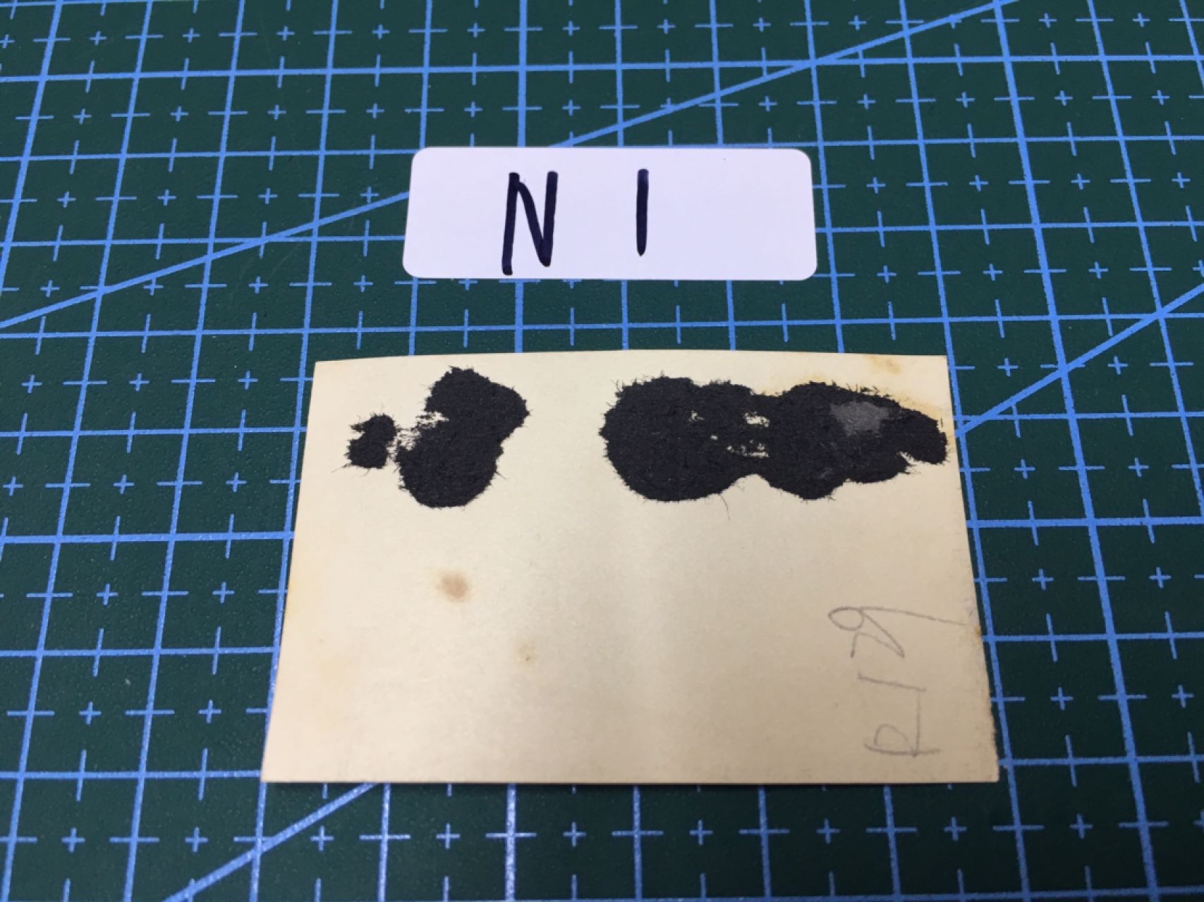 N1 日本老照片 日本老照片一枚 R129