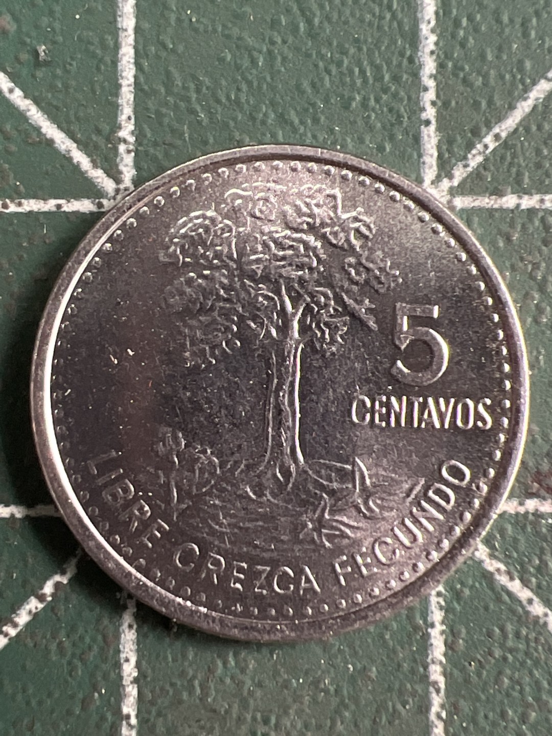 泡泡堂微拍第六十九幕硬币捡漏可累计专场👿👿，零佣金，零押金，累计满二十元包邮，接受代拍业务 危地马拉五分