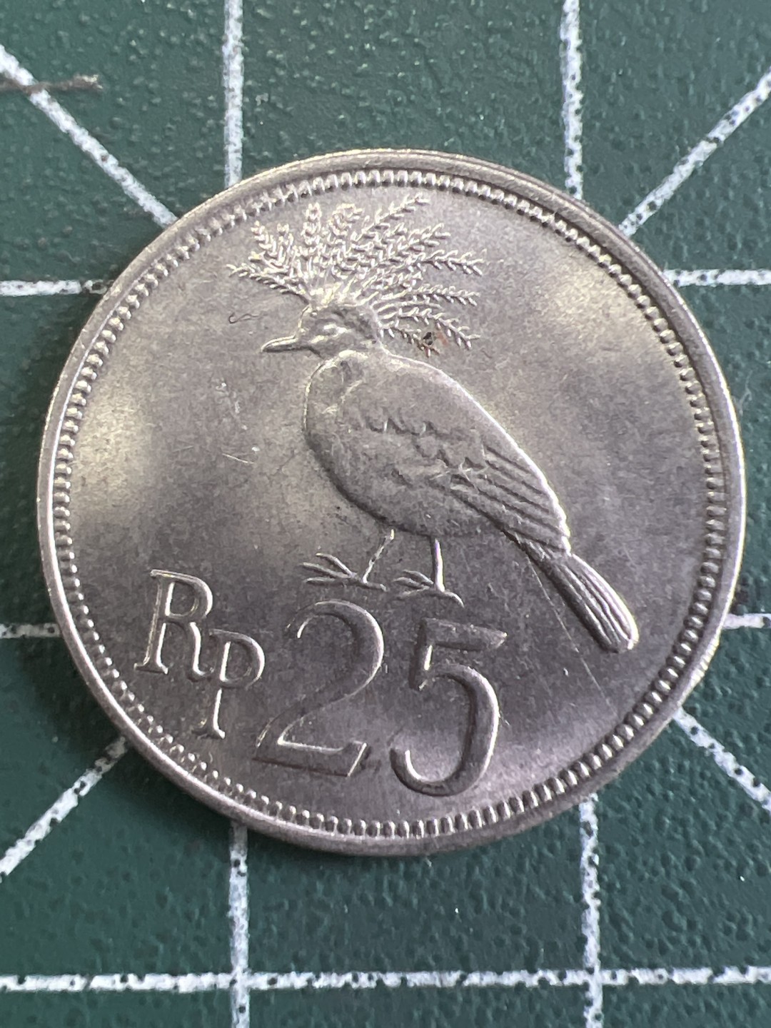 泡泡堂第249期  世界硬币 （无押金，捡漏，全场20包邮，偏远地区除外，接收代拍业务） 印度尼西亚25分