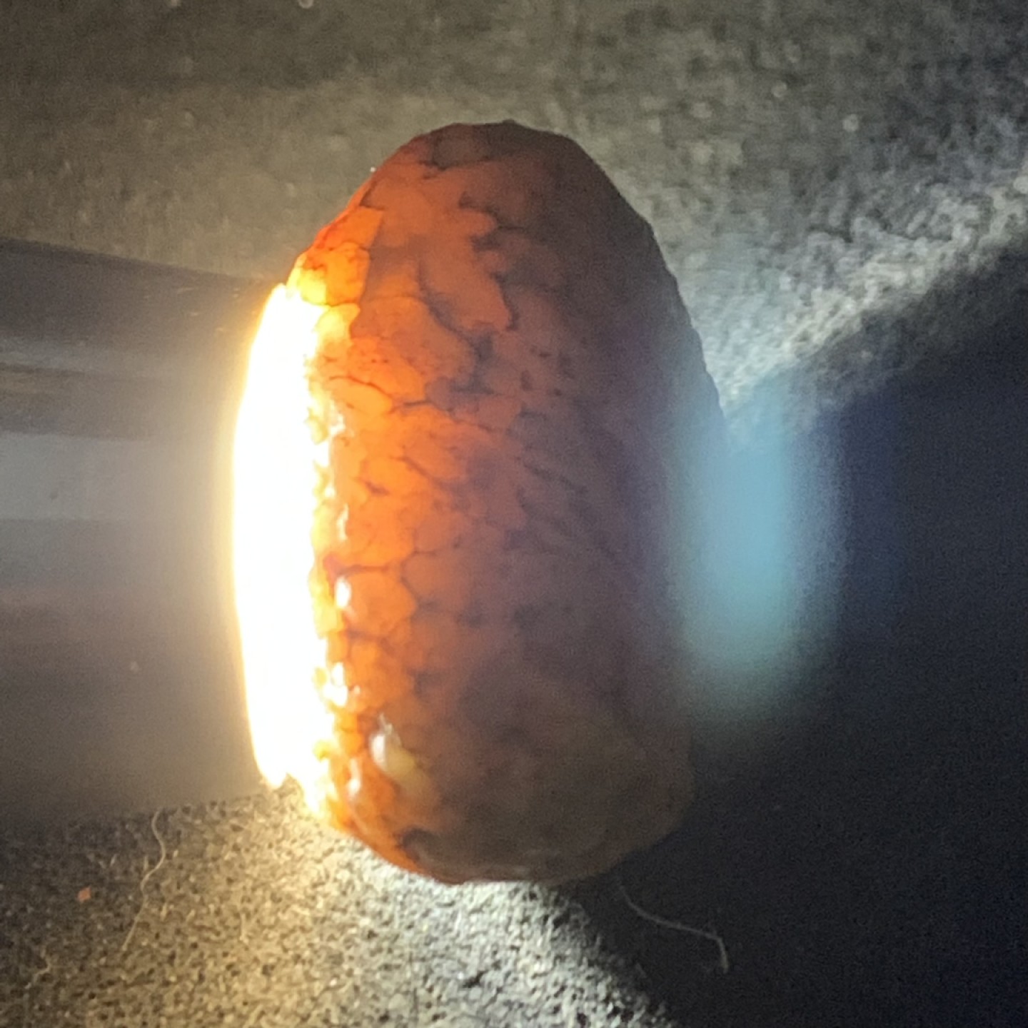 精美阿拉善筋脉石原石一颗