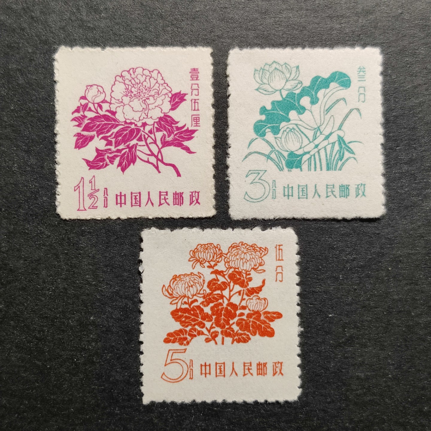洪涛臻品批发群  精选邮票限时拍卖第二百一十三期 普10花卉 新票3全上品 面艳背白票挺  赝品多 终身保真!【图3老赵近期220元成交! 信息很透明,不是80年代信息不对等捡当下大漏的时候了!现在捡漏靠眼光,捡未来的漏,而非当下的漏!】