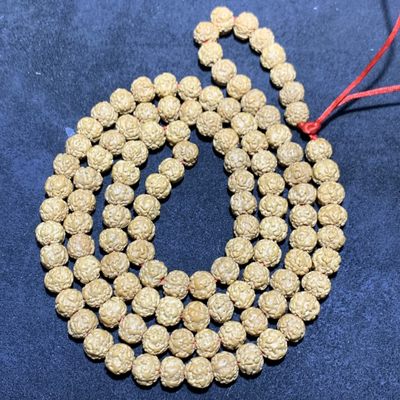 仅此一串，精美0瓣帝王串小金刚菩提一条 - 仅此一串，精美0瓣帝王串小金刚菩提一条