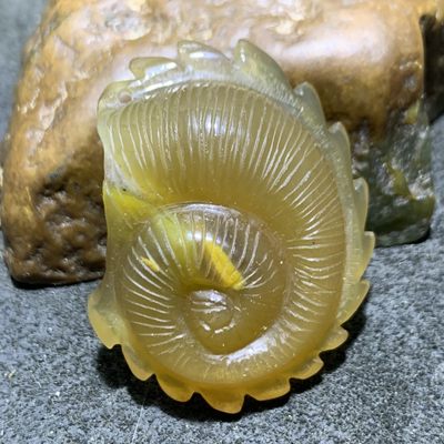 精美高润度冻料飘金沙鸡油黄蒙料战国红玛瑙雕刻海螺一个！ - 精美高润度冻料飘金沙鸡油黄蒙料战国红玛瑙雕刻海螺一个！