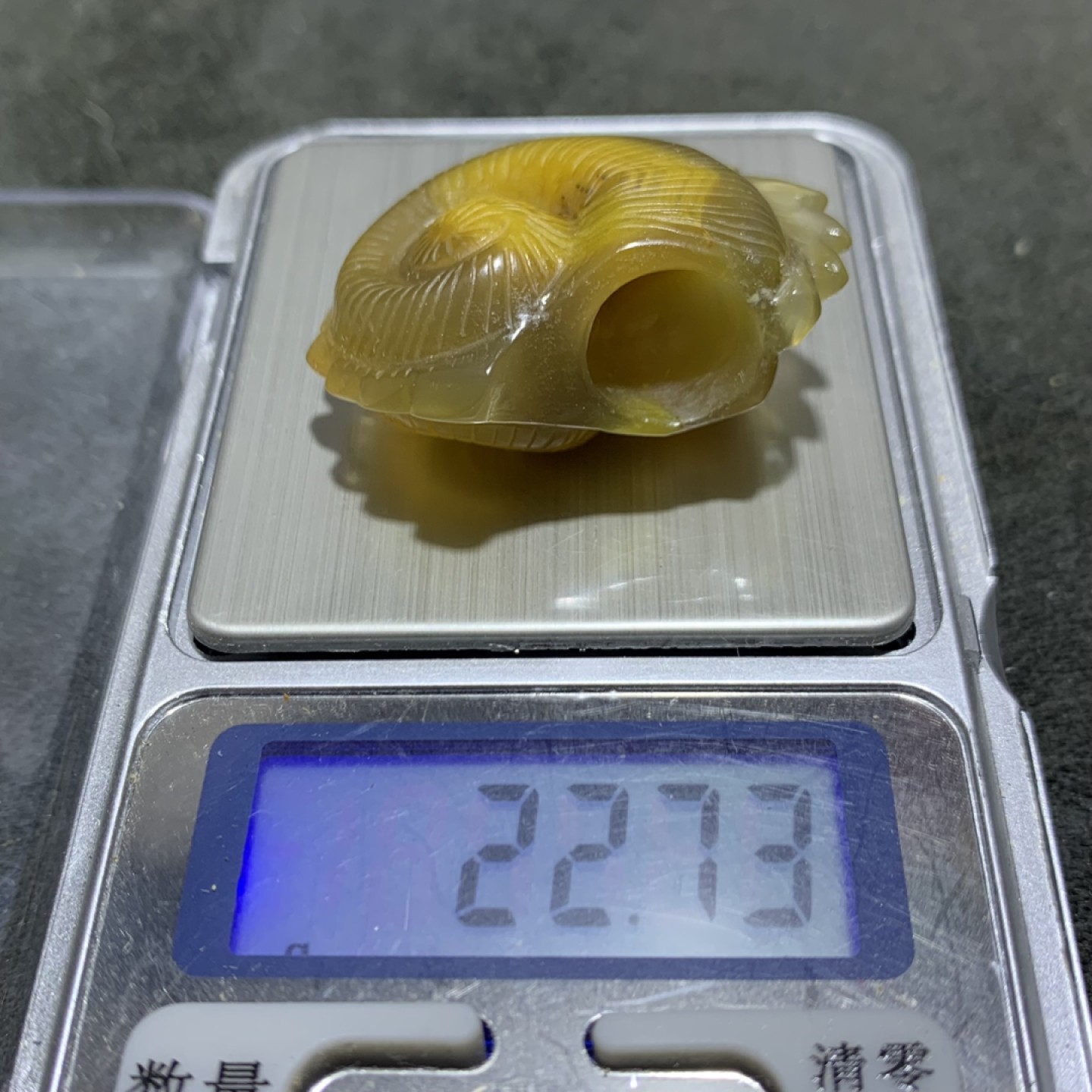 精美高润度冻料飘金沙鸡油黄蒙料战国红玛瑙雕刻海螺一个！