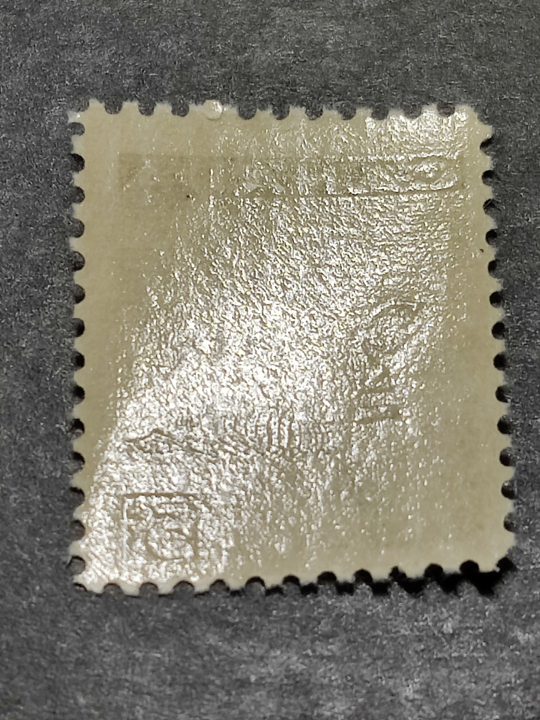 洪涛臻品批发群  精选邮票限时拍卖第二百七十七期 加拿大1957年白嘴潜鸟 新票, 精美雕刻版, 原胶完美润亮  相当难得的品相, 漂亮！