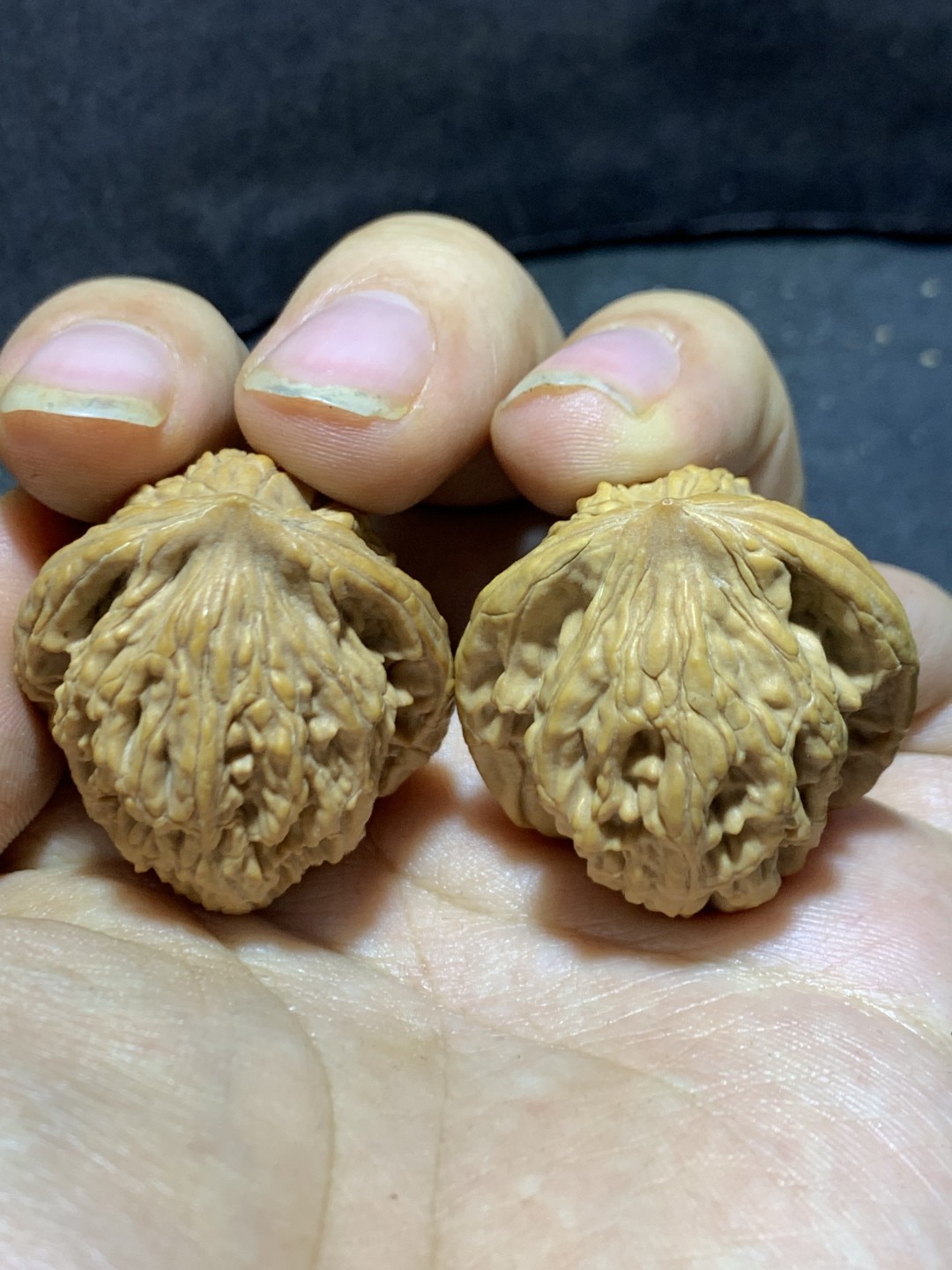 精美麦穗虎头文玩核桃一对！