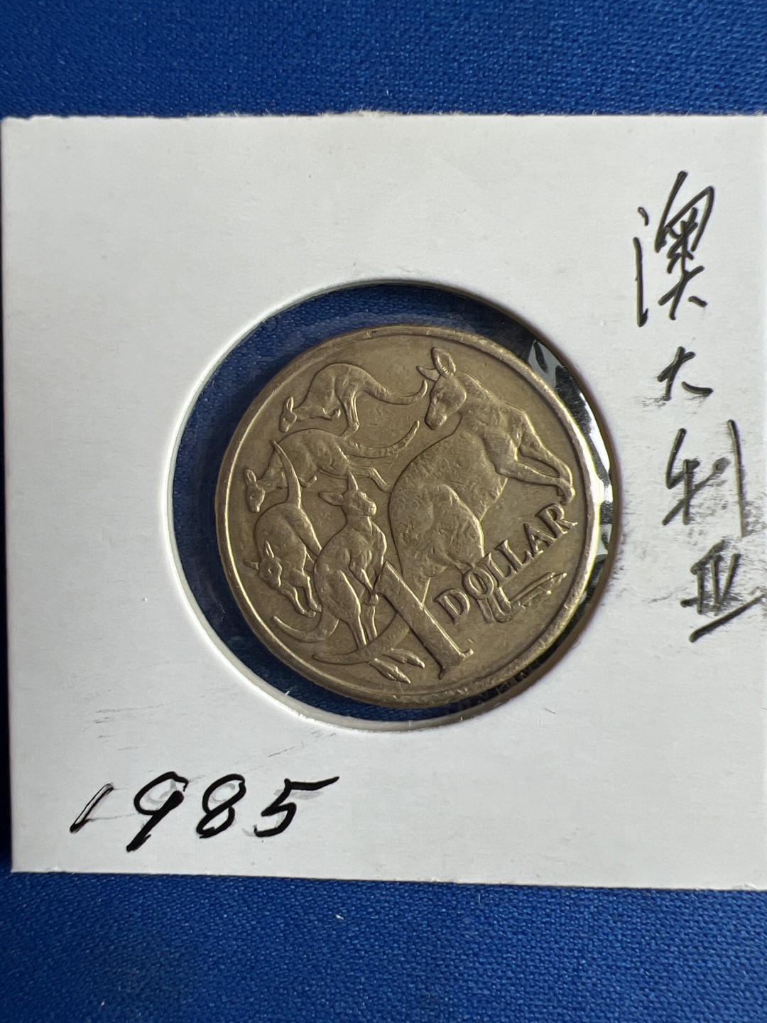 泡泡堂微拍第七十二幕硬币捡漏可累计专场👿👿，零佣金，零押金，累计满二十元包邮，接受代拍业务 澳大利亚一元