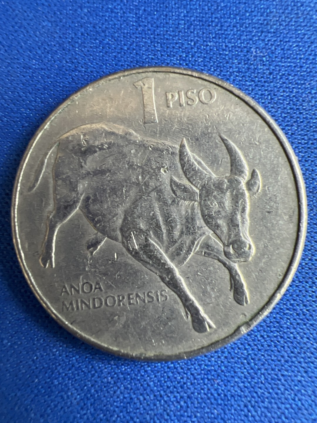 泡泡堂微拍第七十三幕硬币捡漏可累计专场👿👿，零佣金，零押金，累计满二十元包邮，接受代拍业务 菲律宾1比索牛版