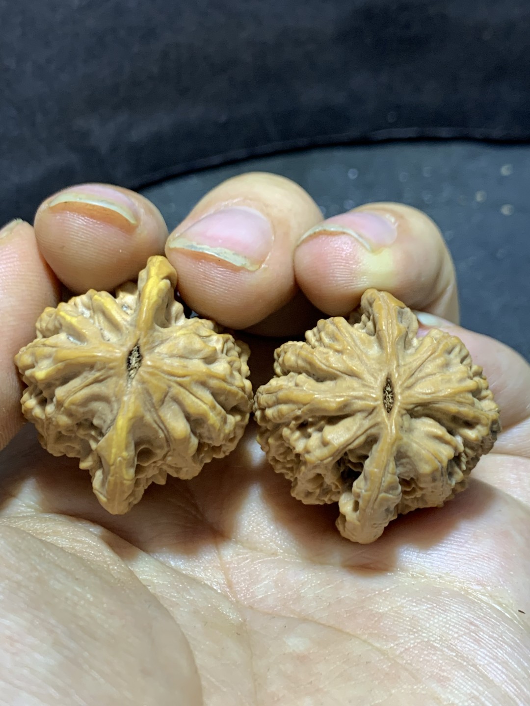 精美麦穗虎头文玩核桃一对！