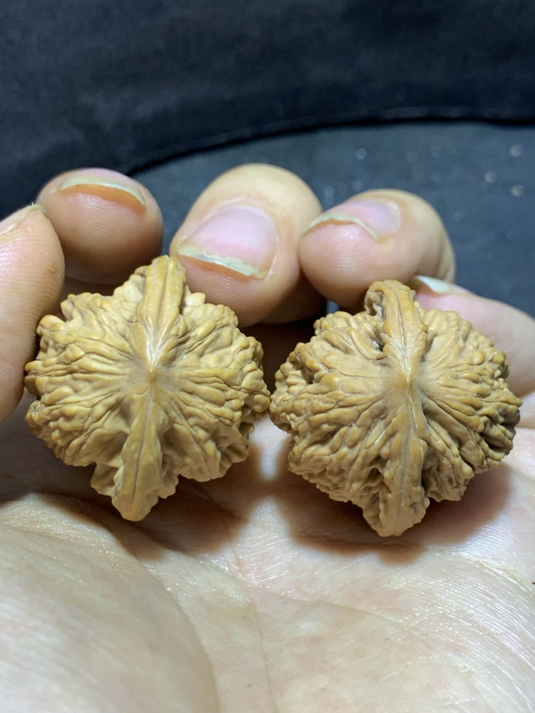精美麦穗虎头文玩核桃一对！