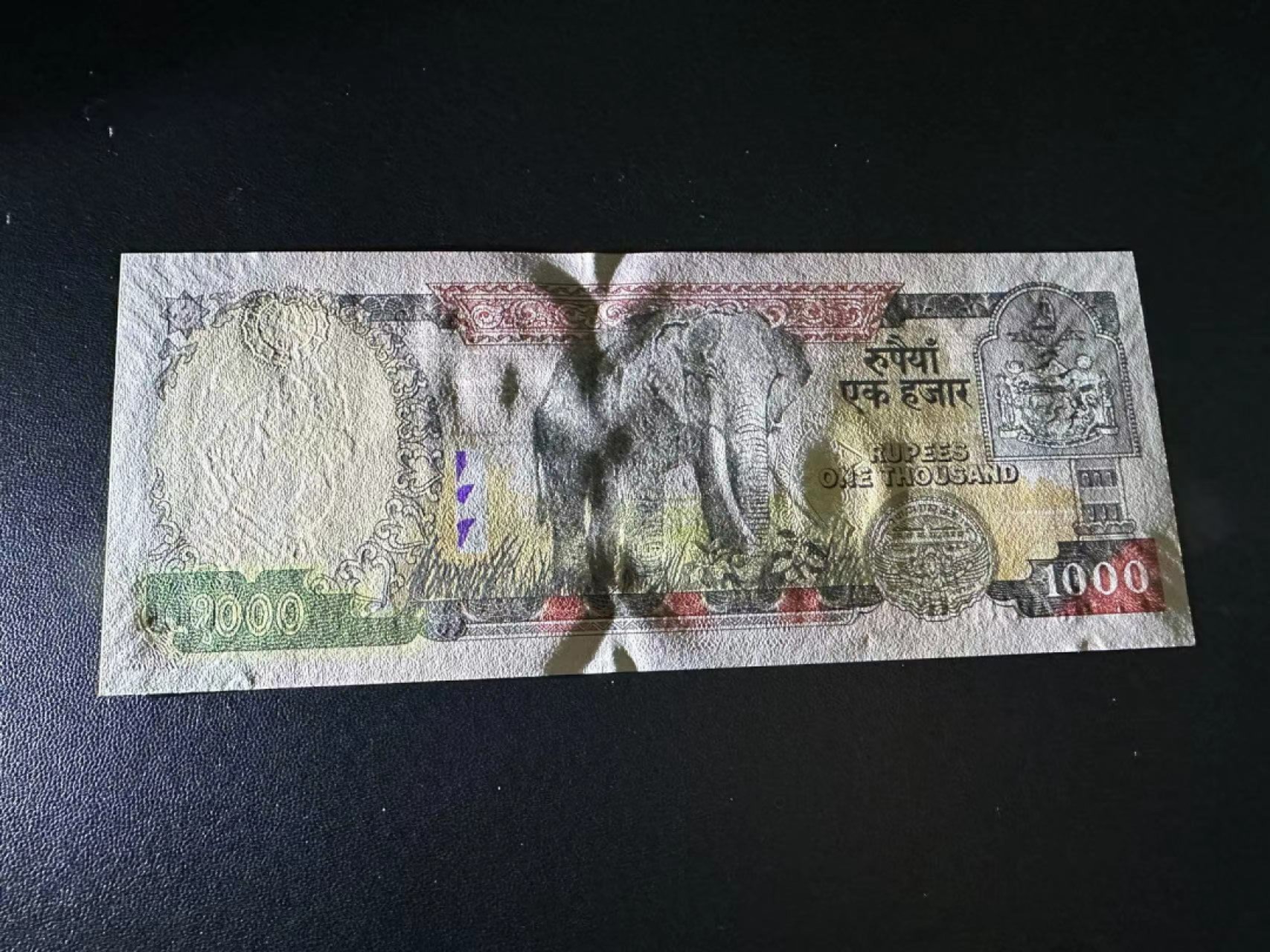 《外钞收藏家》第二百四十六期 连拍场四 尼泊尔1000卢比 全新UNC