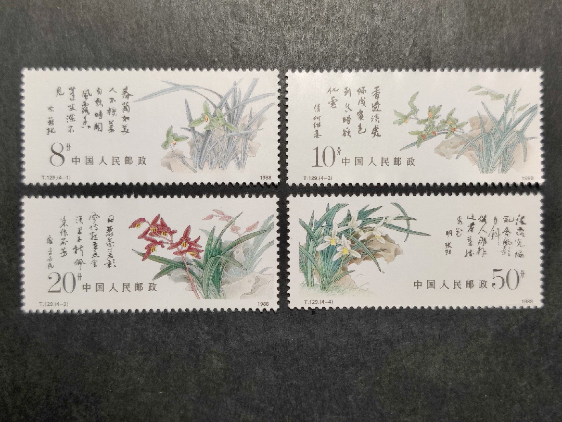 洪涛臻品批发群  精选邮票限时拍卖第一百九十三期 T129兰花 新全套 以前初中英语课本中介绍的中国邮票 面艳背白 原胶润亮 完美过灯近全品 