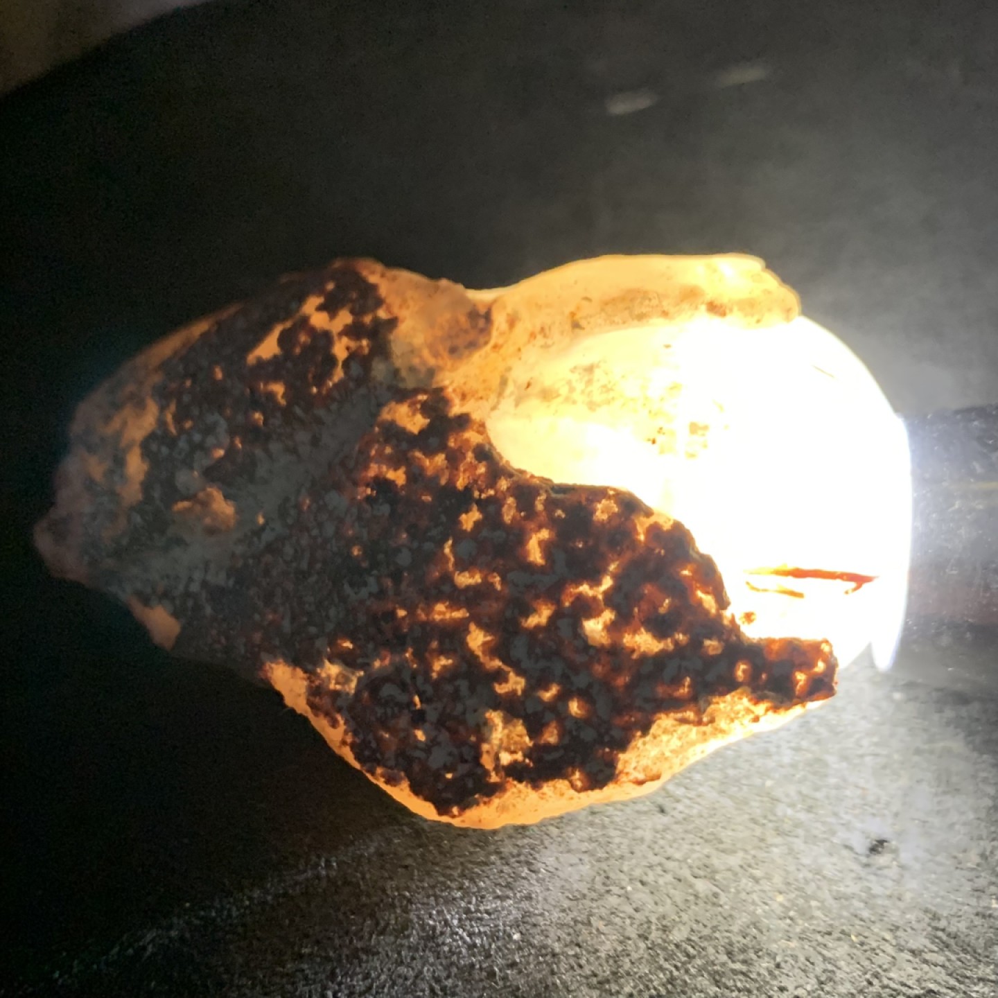 精美阜新玛瑙原皮雕刻富甲天下把件一个！