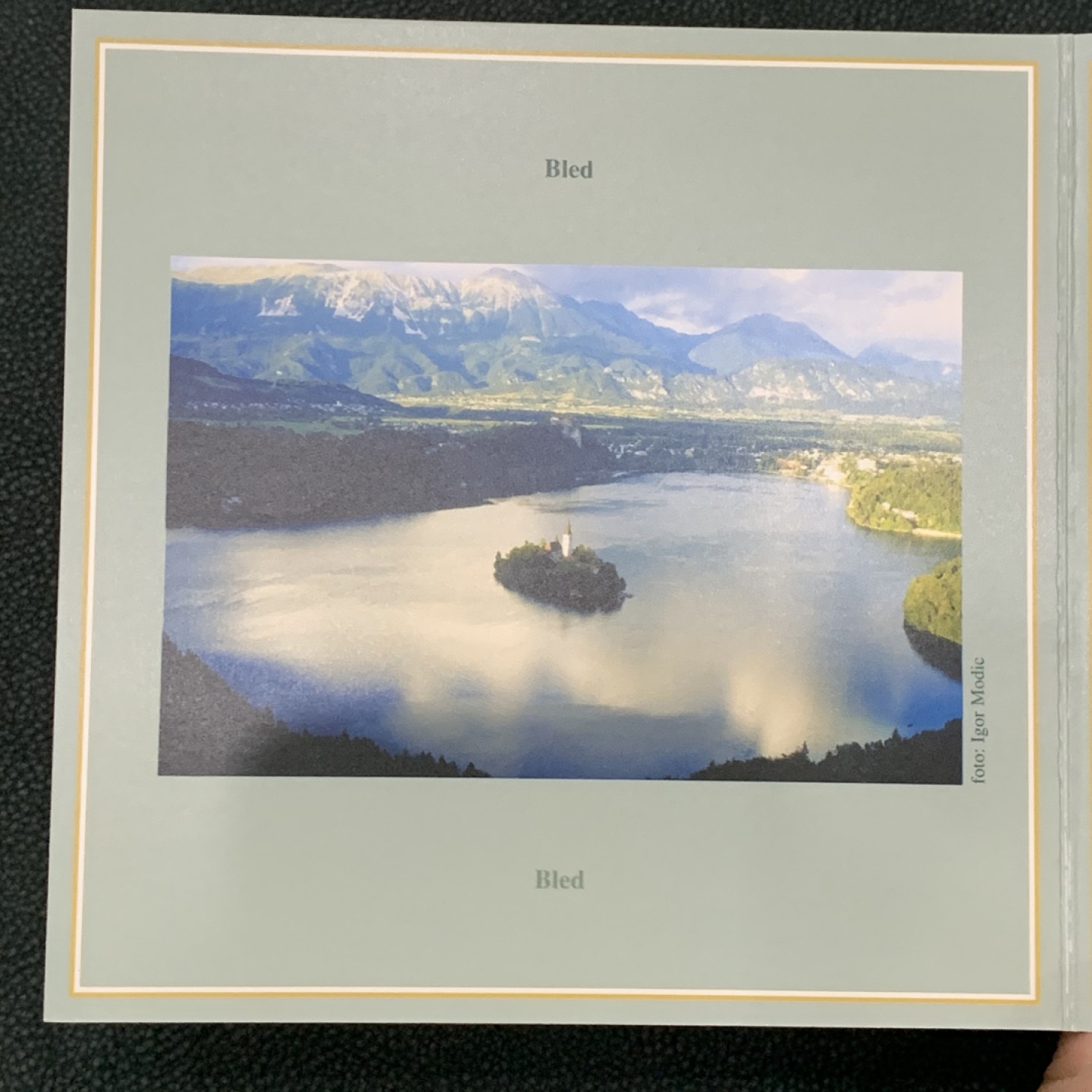 《竞宝斋》第140场-周日，周一，周四 3拍 (全场包邮) 斯洛维尼亚2004年 十枚套 动物系列 不同面值 原厂封装 非常少见