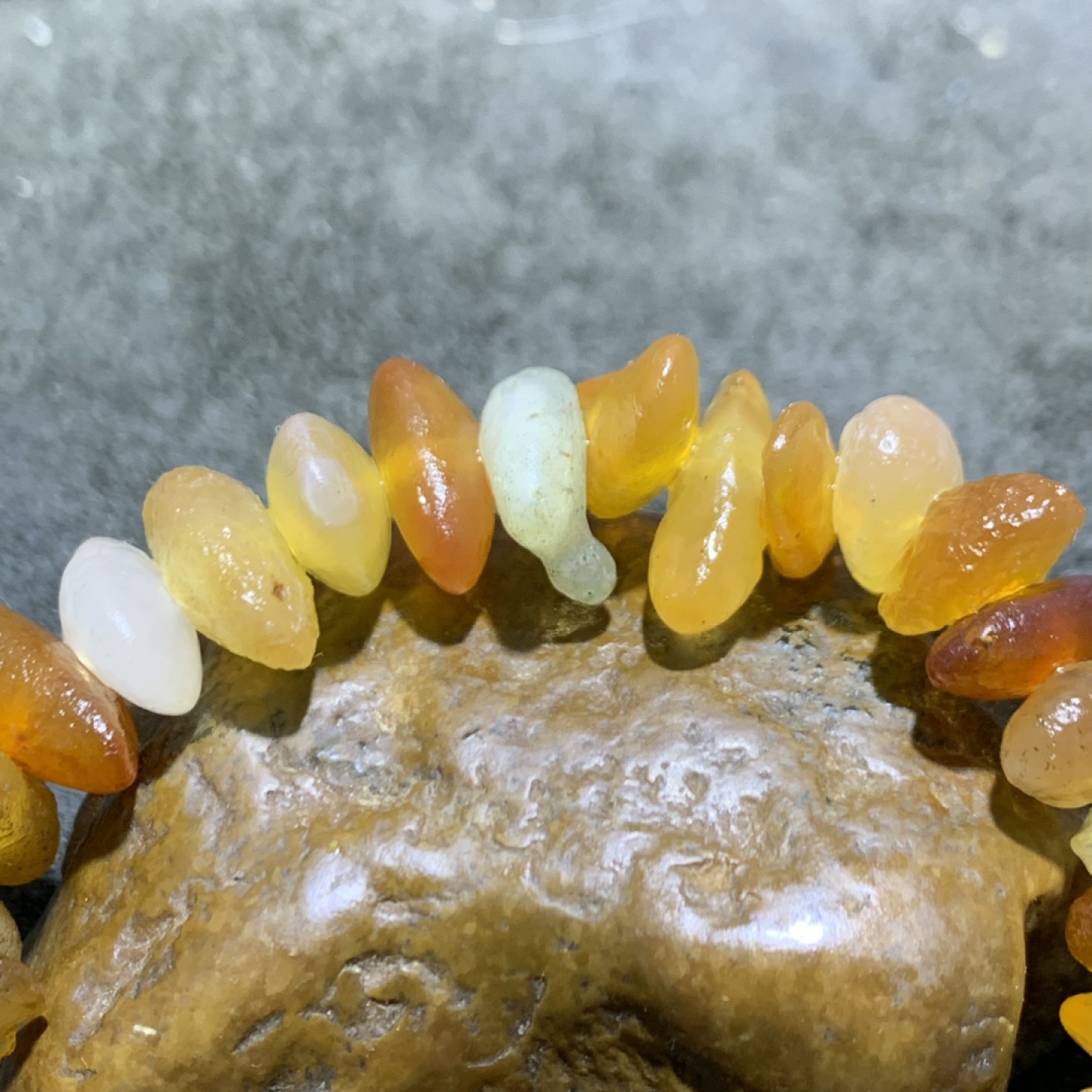 精美阿拉善瓜子型原石手串一条