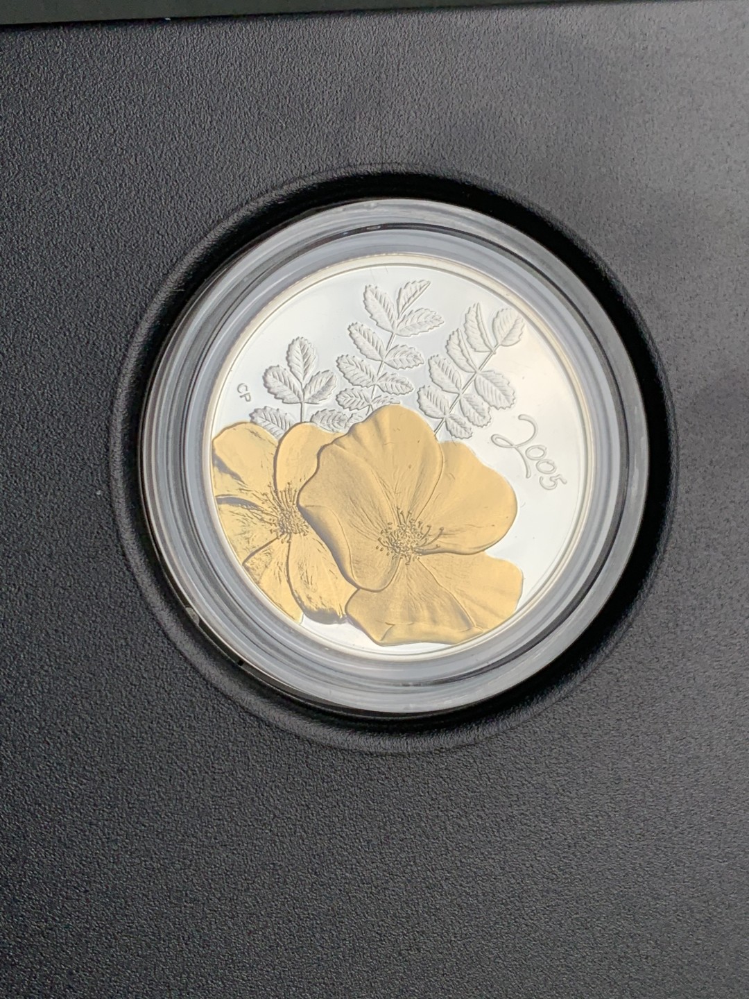 《竞宝斋》第140场-周日，周一，周四 3拍 (全场包邮) 原盒证书 加拿大2005年半圆 镀金银币 非常少见的品种