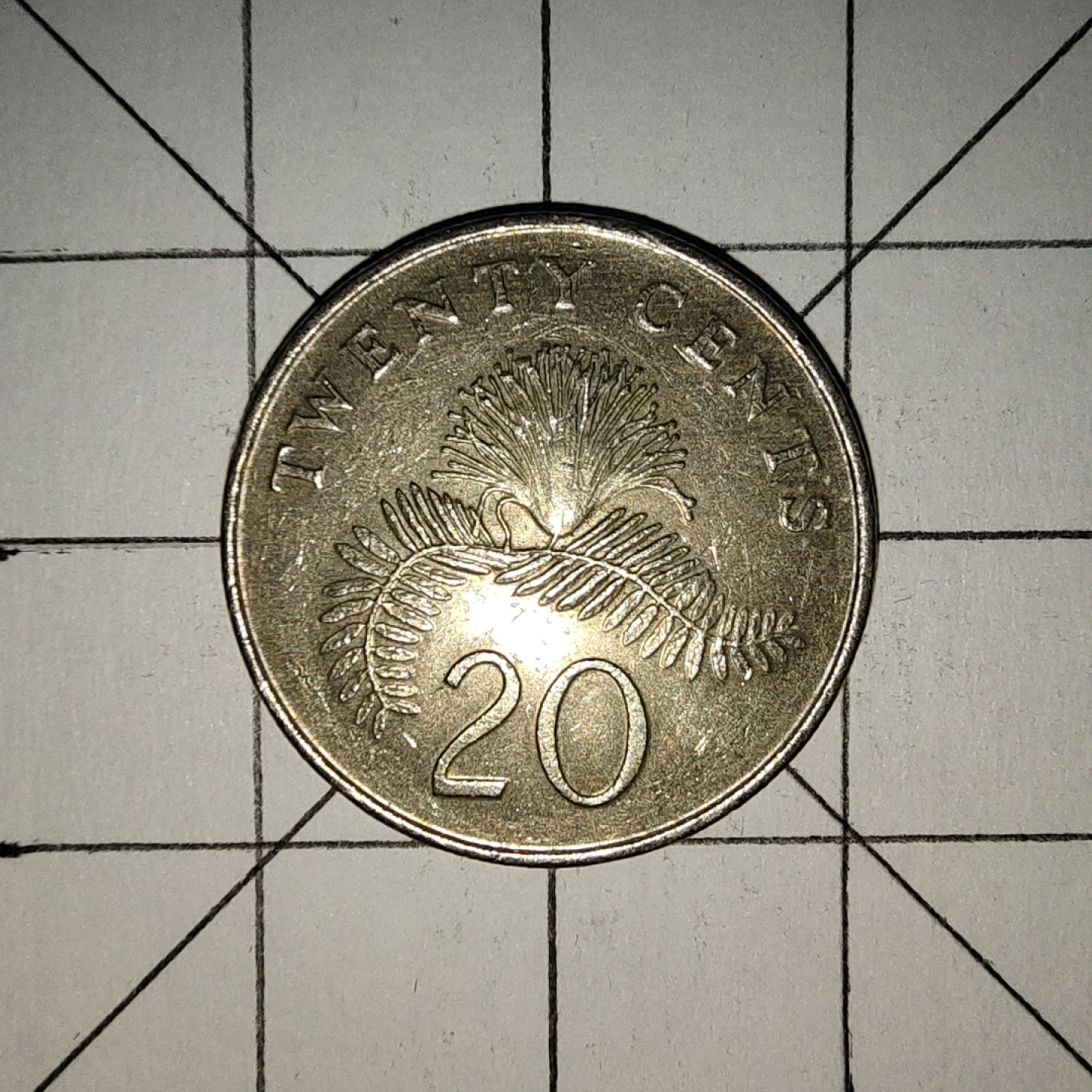 世界硬币第13期(满20包邮，可多场累计。捡漏，无押金，无佣金) 新加坡20分1989年