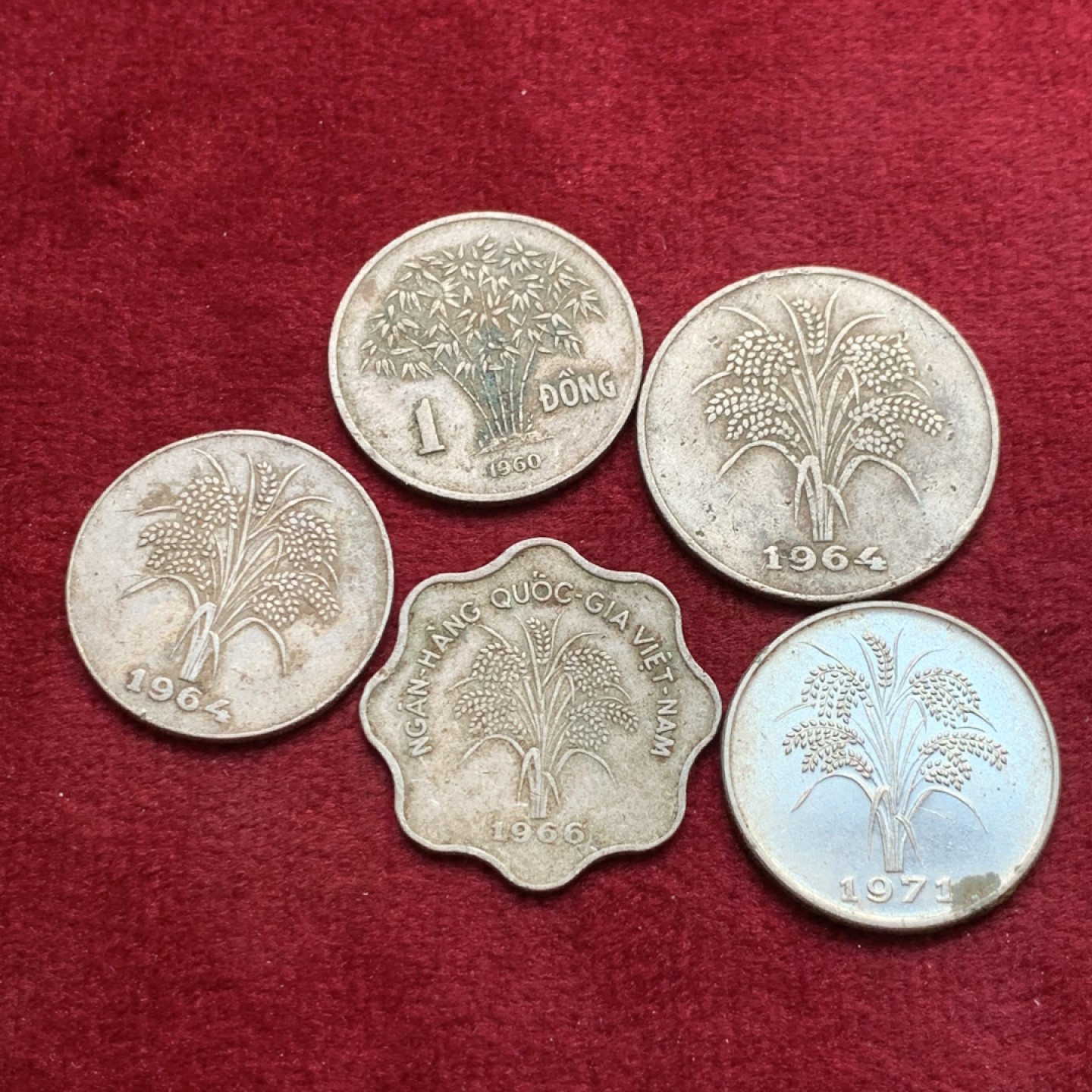 《竞宝斋》第140场-周日，周一，周四 3拍 (全场包邮) 南越辅币一组5枚不同