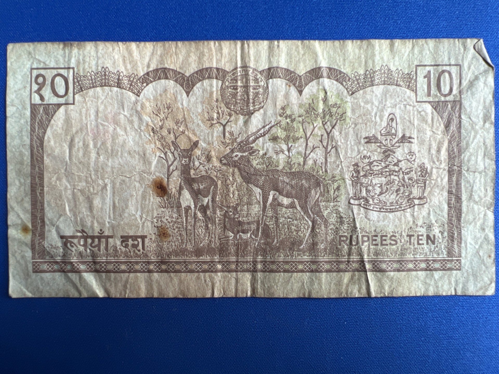 泡泡堂微拍第七十七幕纸币捡漏可累计专场👿👿，零佣金，零押金，累计满二十元包邮，接受代拍业务 尼泊尔10卢比