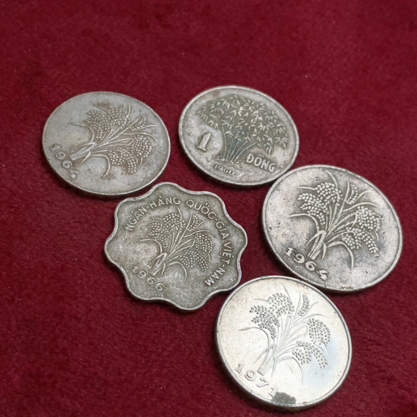 《竞宝斋》第140场-周日，周一，周四 3拍 (全场包邮) 南越辅币一组5枚不同