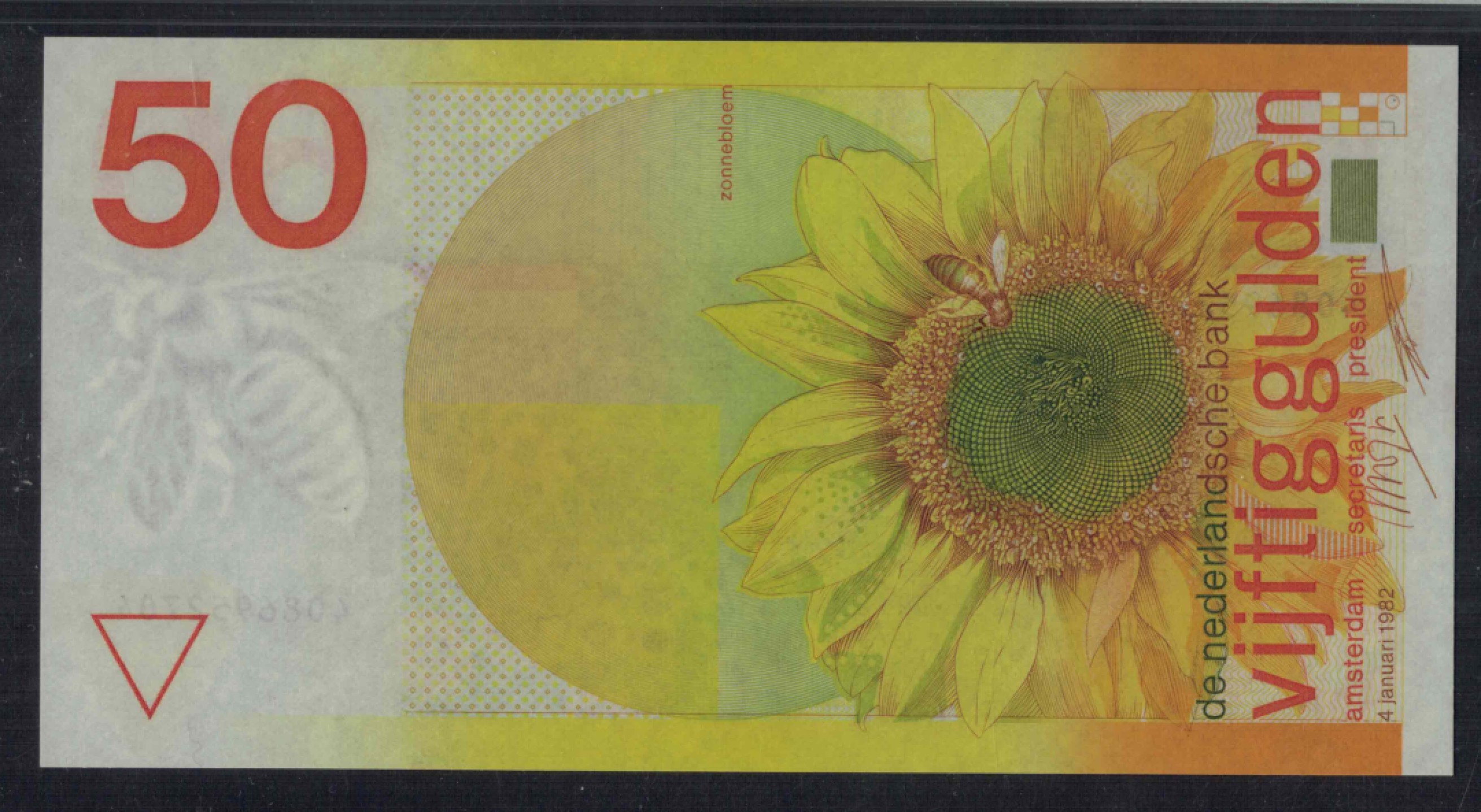 荷兰50盾 1982年 P-96a 欧洲纸币 实物图 UNC